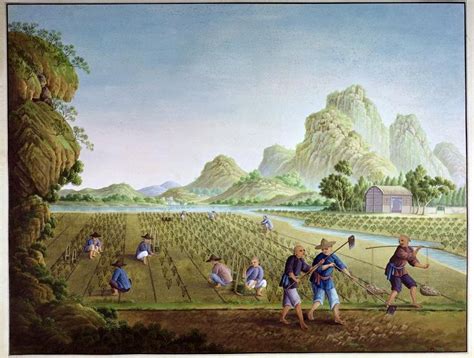 Ancient farming painting